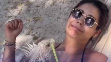 Caporo en la hamaca de una mujer en una playa.