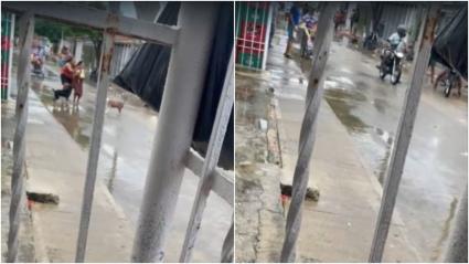 Vecinos del sector captaron imágenes de lo ocurrido