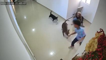 Captura de video del momento de los hechos