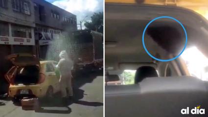 Captura de pantalla del video de la emergencia.