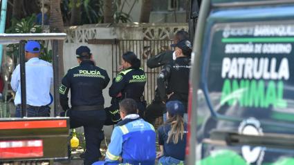 Momentos de la intervención