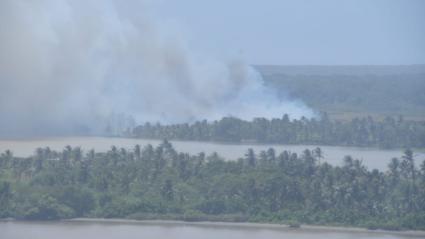 Incendio en Isla Salamanca 
