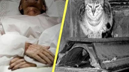 Imagen de referencia