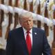 Donald Trump apoyará campaña de Abelardo De la Espriella